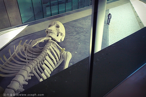 以色列攝影師：超現(xiàn)實(shí)枕頭