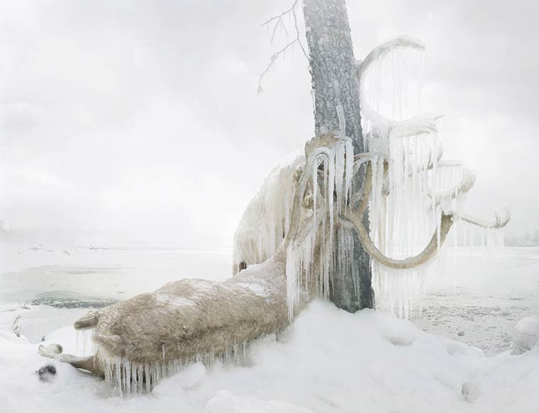 超現(xiàn)實的動物王國
