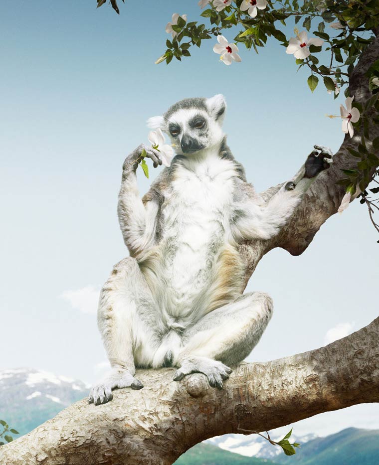 超現(xiàn)實(shí)的動(dòng)物王國(guó)