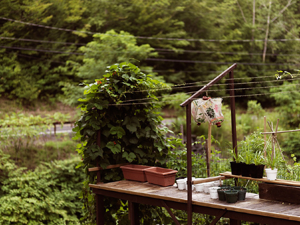 Tuukka Koski攝影作品