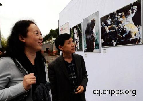 重慶首家國家級攝影創(chuàng)作基地落戶四面山