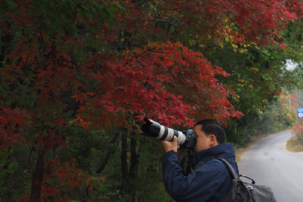 中國(guó)新聞攝影記者聚焦“楓葉之鄉(xiāng)”本溪縣