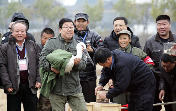 首屆中國(guó)天津?yàn)I海國(guó)際觀鳥(niǎo)文化節(jié)啟動(dòng)