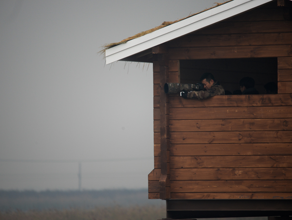 首屆中國(guó)天津?yàn)I海國(guó)際觀鳥(niǎo)文化節(jié)啟動(dòng)