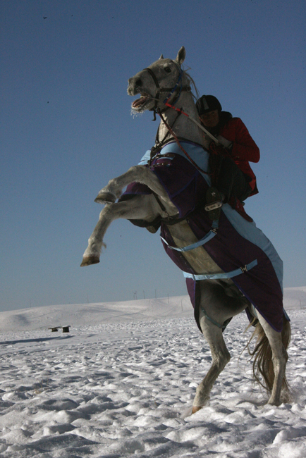 走近昭蘇 感受“雪之戀”