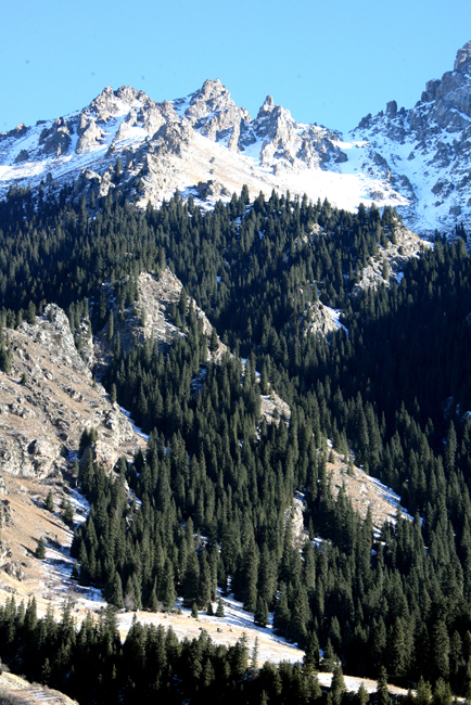 走近昭蘇 感受“雪之戀”