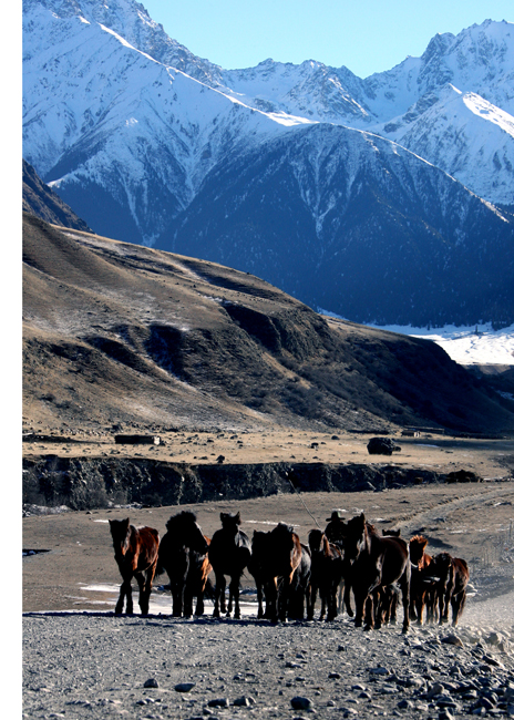 走近昭蘇 感受“雪之戀”