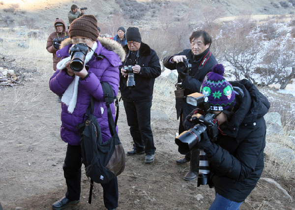 走近昭蘇 感受“雪之戀”