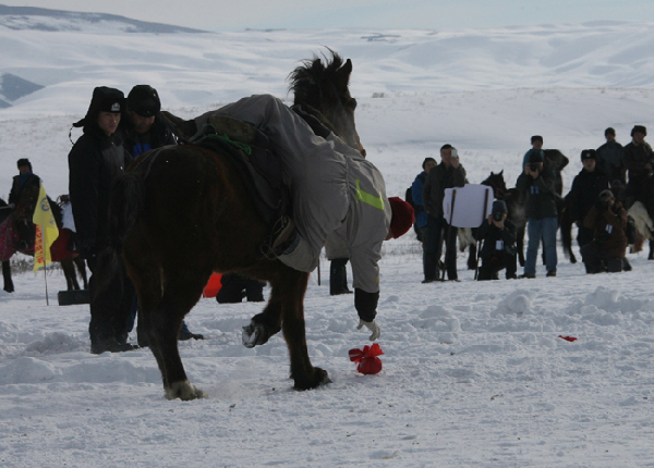 走近昭蘇 感受“雪之戀”