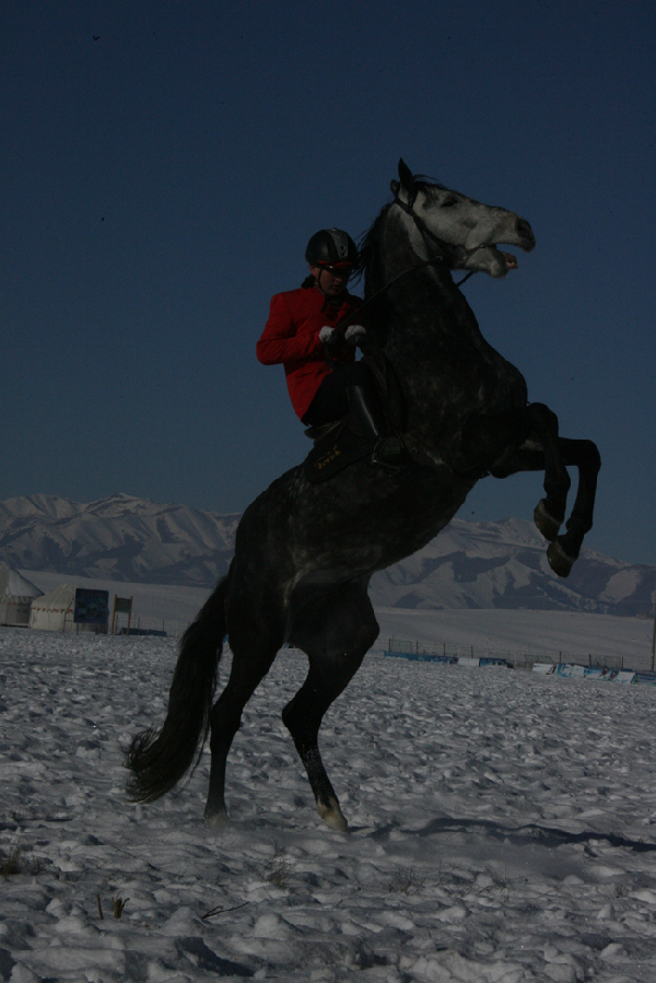 走近昭蘇 感受“雪之戀”