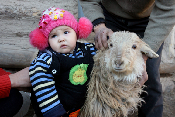 走近昭蘇 感受“雪之戀”