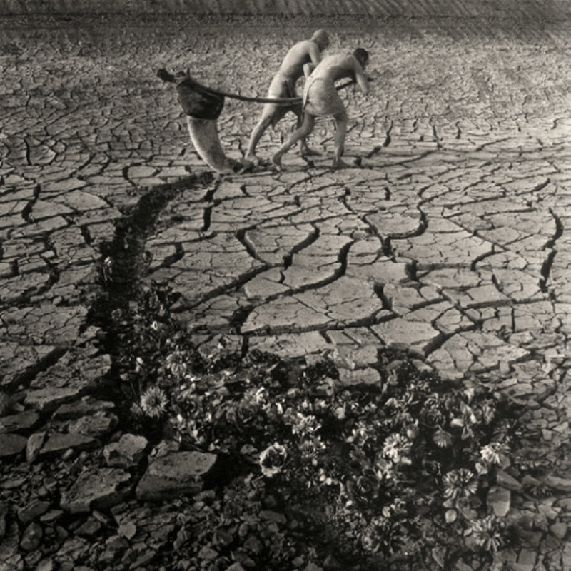 陰郁的黑白觀念攝影