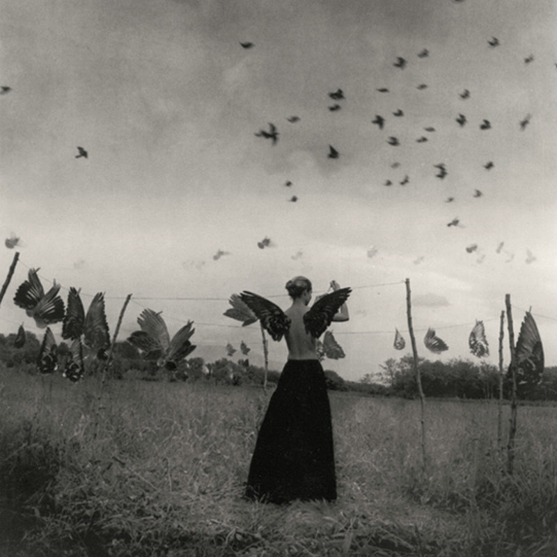 陰郁的黑白觀念攝影