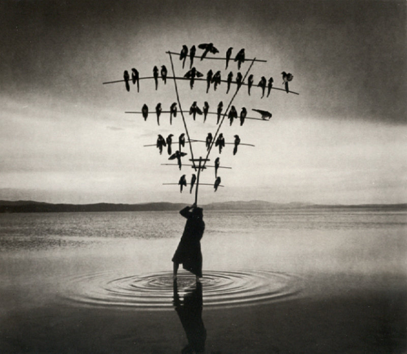 陰郁的黑白觀念攝影