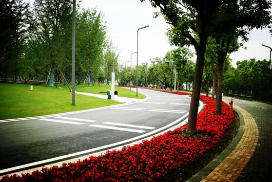 中國新聞攝影學(xué)會創(chuàng)作基地落戶武漢園博園