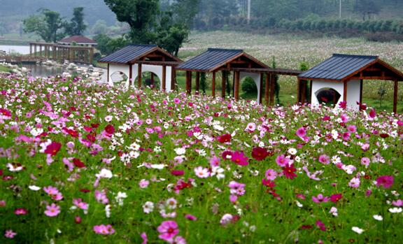 中國新聞攝影學(xué)會創(chuàng)作基地落戶木蘭草原