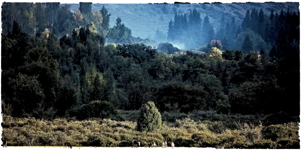 曾經(jīng)的中國(guó)部族