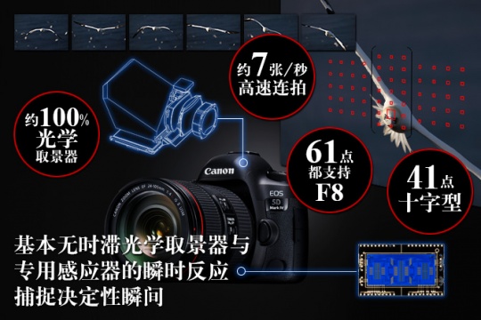 將平衡進(jìn)行到底 點(diǎn)評(píng)佳能EOS 5D Mark IV