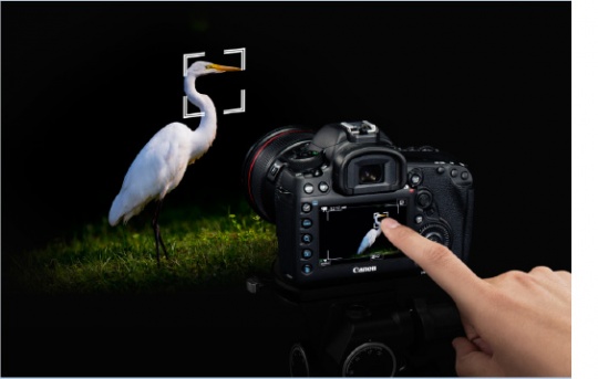 將平衡進(jìn)行到底 點(diǎn)評(píng)佳能EOS 5D Mark IV