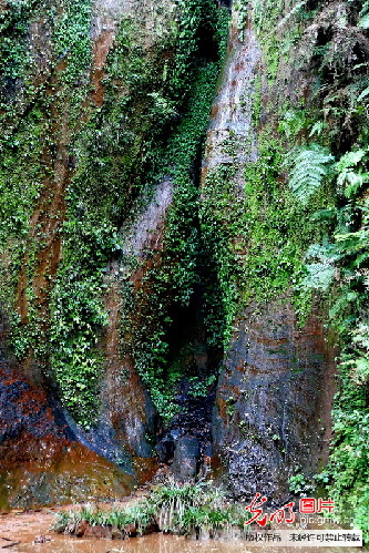 紀念紅軍長征勝利80周年全國主流媒體聚焦赤水