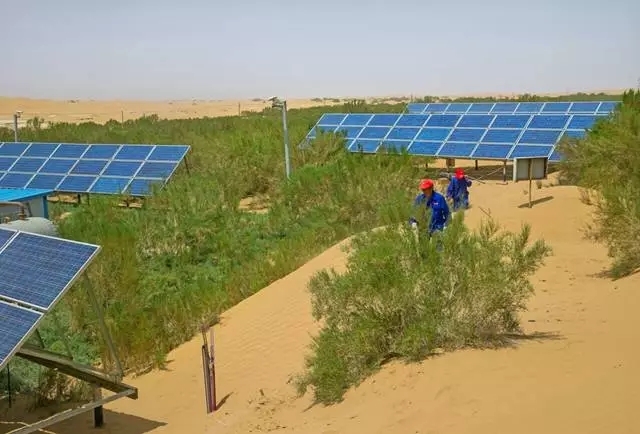 從上萬幅攝影作品中脫穎而出！《綠化大漠不是夢》為何能獲中國新聞獎？