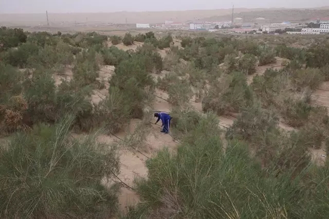 從上萬幅攝影作品中脫穎而出！《綠化大漠不是夢》為何能獲中國新聞獎？