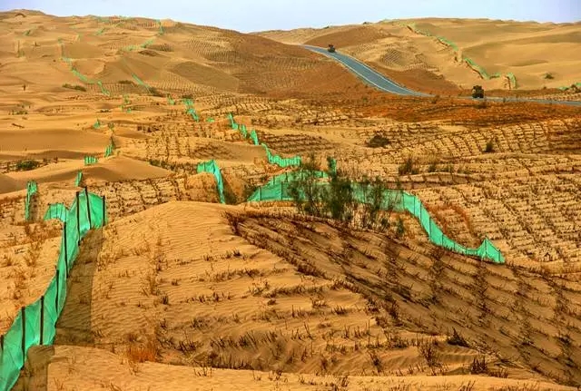 從上萬幅攝影作品中脫穎而出！《綠化大漠不是夢》為何能獲中國新聞獎？