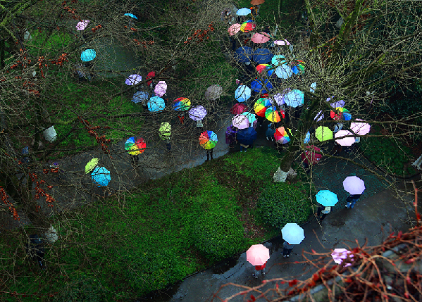 2017形象中國(guó)?百家媒體聚焦綠色衢州優(yōu)秀攝影作品選登