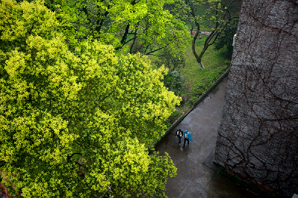 2017形象中國(guó)?百家媒體聚焦綠色衢州優(yōu)秀攝影作品選登