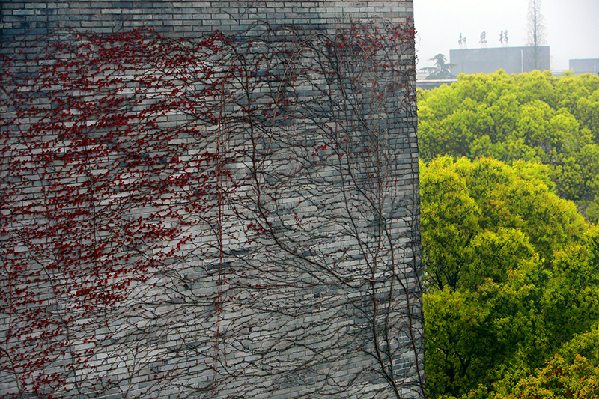 2017形象中國(guó)?百家媒體聚焦綠色衢州優(yōu)秀攝影作品選登