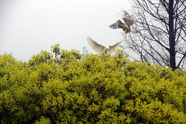 2017形象中國(guó)?百家媒體聚焦綠色衢州優(yōu)秀攝影作品選登