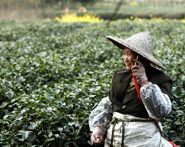 2017形象中國(guó)?百家媒體聚焦綠色衢州優(yōu)秀攝影作品選登