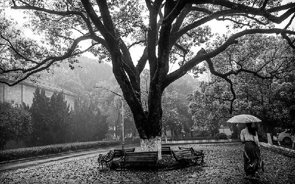 2017形象中國?百家媒體聚焦綠色衢州優(yōu)秀攝影作品選登