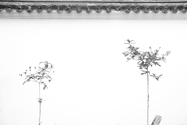 2017形象中國?百家媒體聚焦綠色衢州優(yōu)秀攝影作品選登