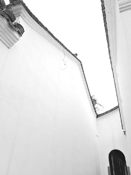 2017形象中國?百家媒體聚焦綠色衢州優(yōu)秀攝影作品選登