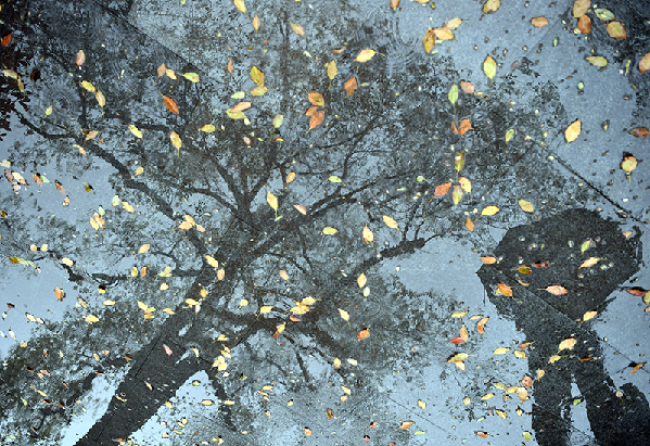 2017形象中國?百家媒體聚焦綠色衢州優(yōu)秀攝影作品選登