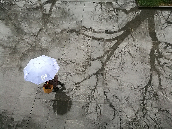 2017形象中國?百家媒體聚焦綠色衢州優(yōu)秀攝影作品選登