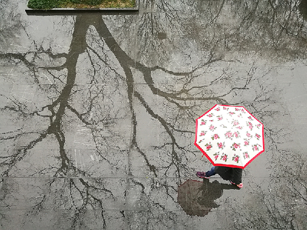 2017形象中國?百家媒體聚焦綠色衢州優(yōu)秀攝影作品選登