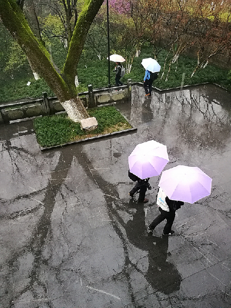 2017形象中國?百家媒體聚焦綠色衢州優(yōu)秀攝影作品選登