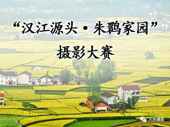 “漢江源頭·朱鹮家園”攝影大賽正式啟動(dòng)