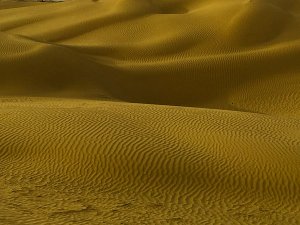 致敬！塔里木！