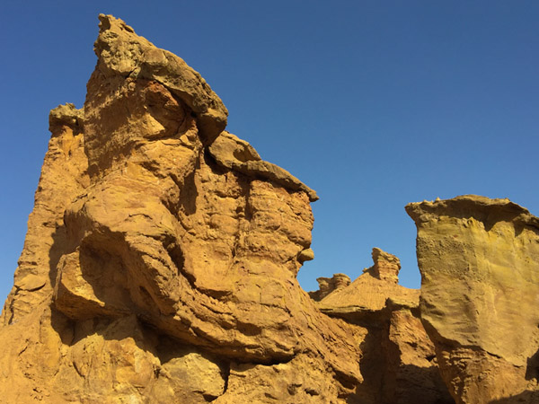 致敬！塔里木！