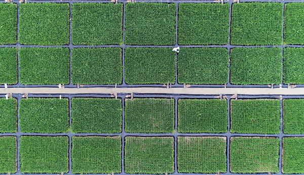 【天空茶座（第3期）】李尕：高效的申報機制是關(guān)鍵