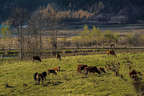 全國(guó)百家媒體聚焦綠色神農(nóng)架
