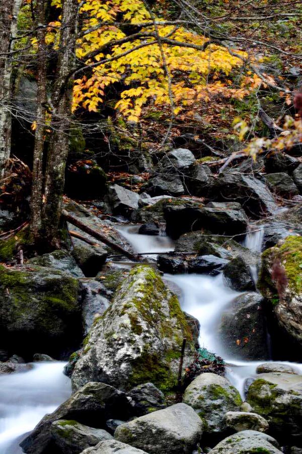 全國(guó)百家媒體聚焦綠色神農(nóng)架