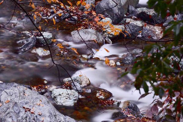 全國(guó)百家媒體聚焦綠色神農(nóng)架