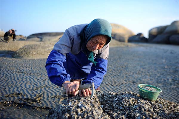 探訪南向通道 聚焦美麗欽州