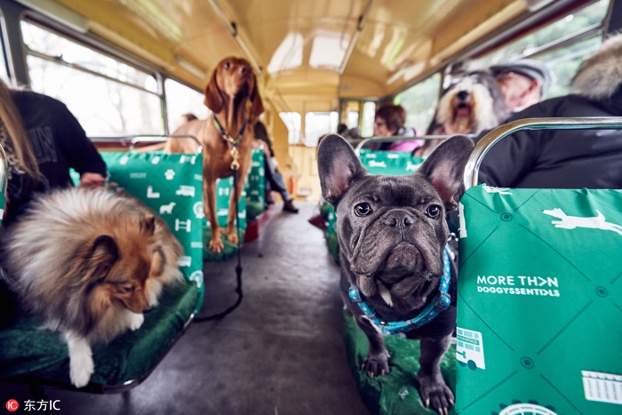 一月最佳動(dòng)物攝影趣聞賞：致自然，敬生命