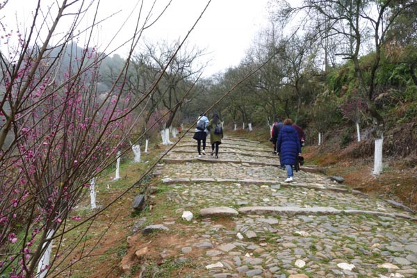 探梅關(guān)古道 看人間滄桑