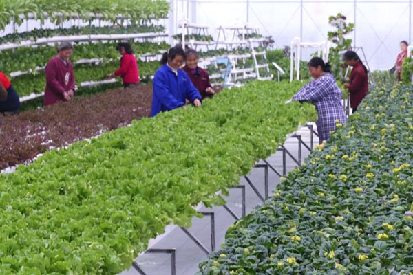 探梅關(guān)古道 看人間滄桑